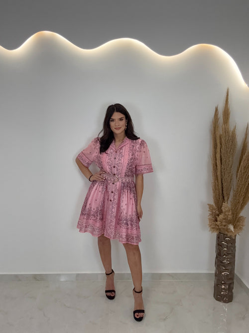 Laoura Rose Dress